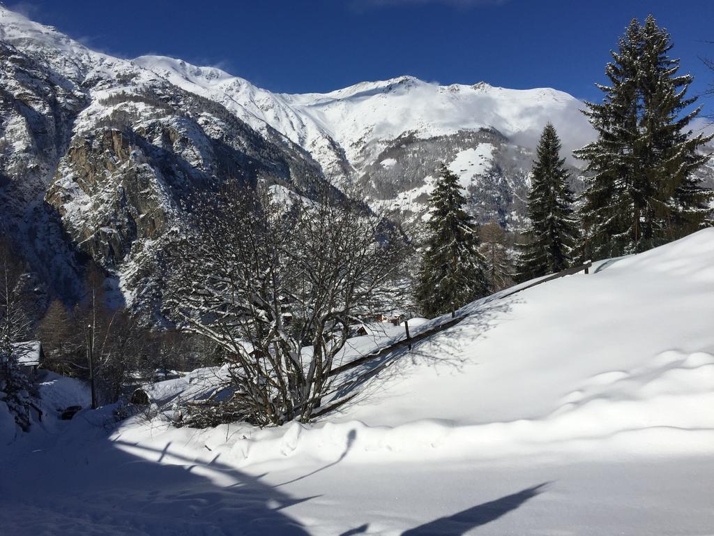 Chalet Du Chef Grächen Zewnętrze zdjęcie